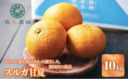 【2026年3月下旬より順次発送】青木農園 スルガ甘夏 10kg【配送不可：離島】◇ 1452690 - 静岡県静岡市