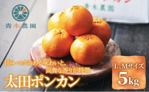 【2026年1月中旬より順次発送】青木農園 太田ポンカン 5kg【配送不可：離島】◇ 1452695 - 静岡県静岡市