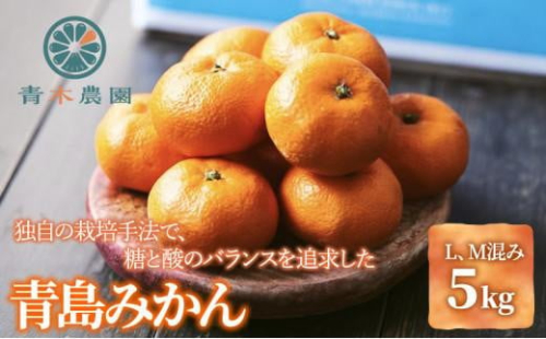 【2026年1月中旬より順次発送】青木農園 青島みかん 5kg【配送不可：離島】◇ 1452696 - 静岡県静岡市