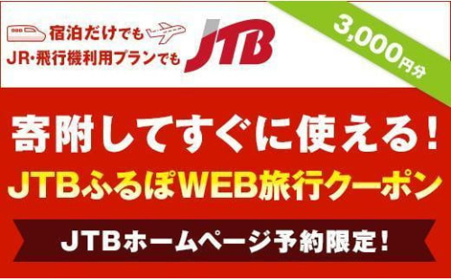 【静岡市】JTBふるぽWEB旅行クーポン（3,000円分） 1452767 - 静岡県静岡市