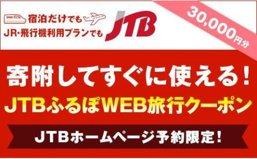 【静岡市】JTBふるぽWEB旅行クーポン（30,000円分） 1452769 - 静岡県静岡市