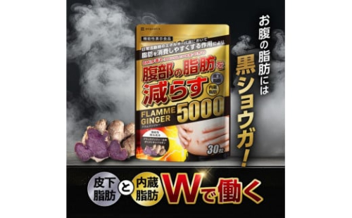 ブラックジンジャー サプリメント フラムジンジャー 機能性表示食品 30日分◇ 1452781 - 静岡県静岡市