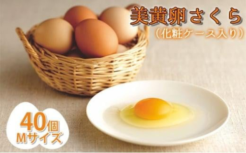 美黄卵さくら 40個化粧ケース入り（35個＋破損保障5個）【配送不可：沖縄・離島】鶏卵 たまご 1452876 - 静岡県静岡市