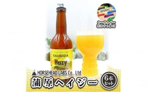 蒲原へイジー 6本セット (キーホルダー栓抜き付き) HORSEHEAD LABS クラフトビール ご当地ビール 地ビール お酒 ビール 1452989 - 静岡県静岡市