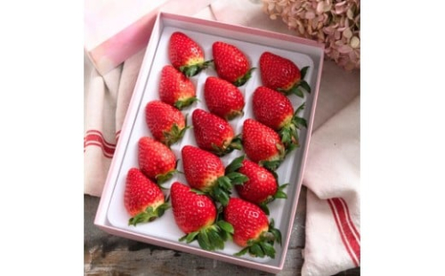 【先行予約】【ギフトBOX入り】大粒静岡いちご ギフトボックス入り（すず／おいCベリー 約500g・農園厳選） 冷蔵 苺 フルーツ◇ 1453038 - 静岡県静岡市