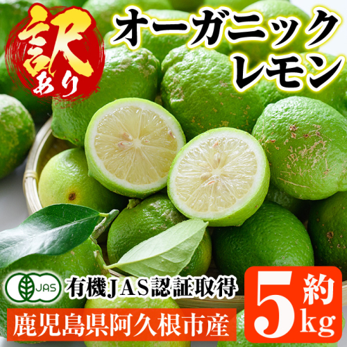 ＜先行予約受付中！2025年9月以降発送予定＞数量限定！有機JAS 訳ありオーガニックレモン(約5kg) 国産 訳あり レモン 檸檬 果実 果物 フルーツ 柑橘 デザート 期間限定 有機栽培 健康志向 【中村農場】akn084-02 1453221 - 鹿児島県阿久根市