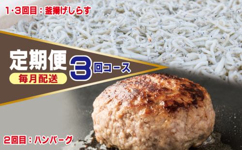 店主セレクト ハンバーグ／しらす 食べ比べ 定期便 全3回【毎月配送コース】 G1245 1454047 - 大阪府泉佐野市