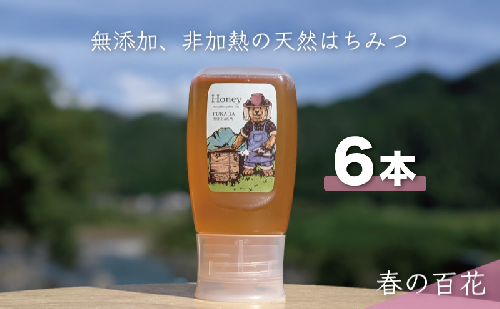 合計1800g 天然蜂蜜 国産蜂蜜 非加熱 生はちみつ 岐阜県 美濃市産 春 (蜂蜜300g入りピタッとボトル6本セット) A17 1454131 - 岐阜県美濃市