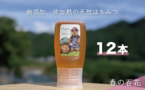 合計3600g 天然蜂蜜 国産蜂蜜 非加熱 生はちみつ 岐阜県 美濃市産 春 (蜂蜜300g入りピタッとボトル12本セット) A18 1454132 - 岐阜県美濃市