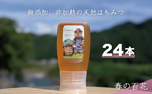 合計7200g 天然蜂蜜 国産蜂蜜 非加熱 生はちみつ 岐阜県 美濃市産 春 (蜂蜜300g入りピタッとボトル24本セット) A19 1454133 - 岐阜県美濃市