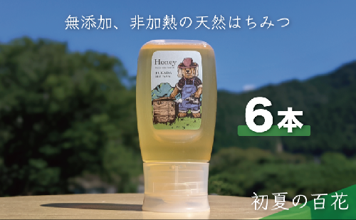 合計1800g 天然蜂蜜 国産蜂蜜 非加熱 生はちみつ 岐阜県 美濃市産 初夏 (蜂蜜300g入りピタッとボトル6本セット) B17 1454134 - 岐阜県美濃市