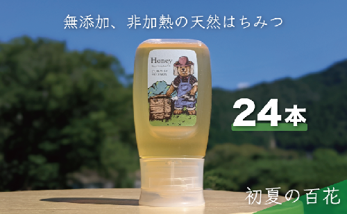 合計7200g 天然蜂蜜 国産蜂蜜 非加熱 生はちみつ 岐阜県 美濃市産 初夏 (蜂蜜300g入りピタッとボトル24本セット) B19 1454136 - 岐阜県美濃市