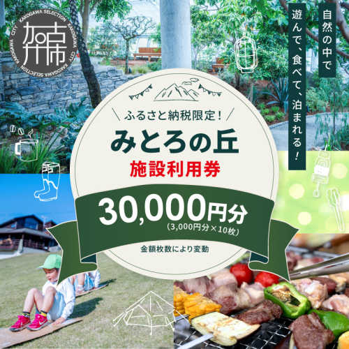 遊んで、食べて、泊まれる！「みとろの丘」ふるさと納税限定利用券(3000円×10枚)《 体験 自然 宿泊券 チケット クーポン 》【2412L14802】 1454222 - 兵庫県加古川市