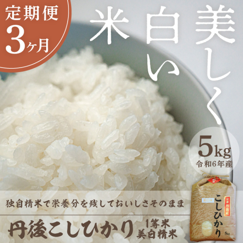 【定期便3回】令和6年産 美白精米 丹後こしひかり 5kg×3ヵ月 1等米 1454258 - 京都府京丹後市