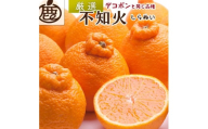 ＜2月より発送＞厳選 不知火5kg+150g（傷み補償分）【デコポンと同品種・人気の春みかん】【IKE50】