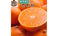 ＜2月より発送＞家庭用 せとか2kg+60g（傷み補償分）【柑橘・春みかんの王様】【わけあり・訳あり】【IKE62】