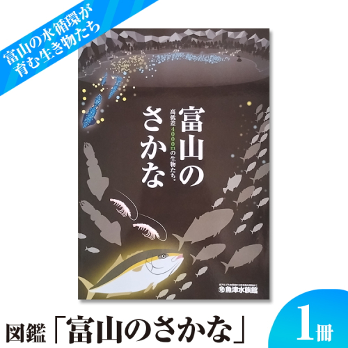 図鑑「富山のさかな」 ※北海道・沖縄・離島への配送不可 1454782 - 富山県魚津市