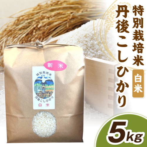 【先行予約】令和8年産 丹後こしひかり 白米5kg 【特別栽培米】新米 1454851 - 京都府京丹後市