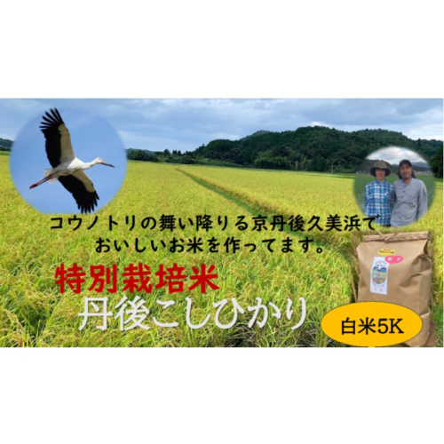 令和6年産　丹後こしひかり　白米5kg【特別栽培米】新米
 1454851 - 京都府京丹後市