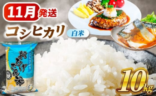 【11月発送】コシヒカリ 白米 10㎏ 愛西市 / 脇野コンバイン  米 お米 コメ [AECP022-3]