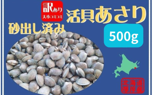 北海道 厚岸産 訳あり 活あさり 500g アサリ 1455425 - 北海道厚岸町