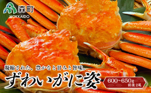 【12月発送】 ずわいがに姿 約600～650g前後 2尾＜ワイエスフーズ＞ かに カニ 蟹 ガニ がに 森町 ふるさと納税 北海道 ずわいがに ずわいかに ズワイガニ mr1-0672-2 1455473 - 北海道森町