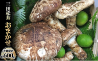 【ふるさと納税】 三田 松茸 おまかせ (等級混合約600g) まつたけ 秋の味覚 きのこ キノコ 旬の野菜 贈答品 お歳暮 新年 年末 贈り物 ギフト 食品 ギフト  ふるさと納税 ふるさと 人気 おすすめ 送料無料 兵庫県 三田市 [3d28bae460000]