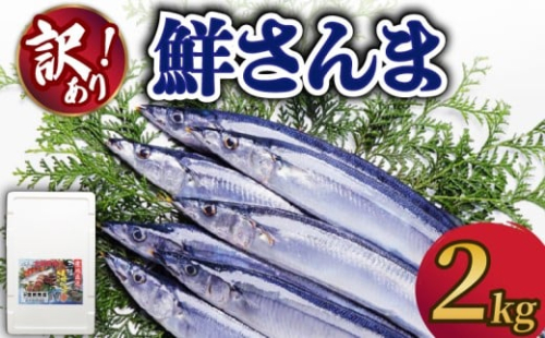 【2025年先行予約】 訳あり 鮮さんま 約2kg 冷蔵 訳アリ サンマ さんま 秋刀魚 季節限定 鮮魚 旬の魚 三陸 岩手県 大船渡市 