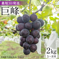 【最短3日発送】 巨峰 2kg ( 種あり ) ( 茨城県共通返礼品 石岡市 ) 数量限定 ぶどう ブドウ 果物 フルーツ 旬 人気 産直 採れたて 新鮮 国産 産地直送 [FB002sa]