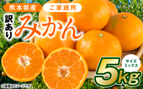 【先行予約】【訳あり】熊本県産 みかん サイズミックス 約5kg【2024年12月下旬より順次発送】 1455940 - 熊本県八代市