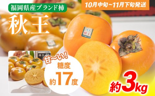 期間限定 福岡県産ブランド柿「秋王」 約3kg（8-12玉）返礼品 お取り寄せグルメ お取り寄せ グルメ カキ かき 果物 フルーツ 南国フルーツ CO012 1456056 - 福岡県大木町