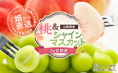 【期間限定発送】【旬の桃とシャインマスカットの2回定期便】令和7年 桃約2kg（5～6玉）、シャインマスカット約1.8kg（2～4房） [株式会社えべし 山梨県 中央市 21470869] ぶどう 桃 フルーツ 果物 くだもの ブドウ シャイン マスカット もも 葡萄 期間限定 季節限定 【2026年6月下旬-10月下旬発送予定】 1456359 - 山梨県中央市