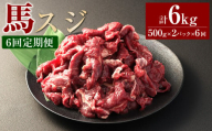 【6ヶ月定期便】 馬スジ1kg（500g×2パック） 合計6kg 馬肉 お肉 煮込み