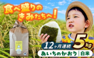 【12回定期便】 あいちのかおり　白米　5kg　お米　ご飯　愛西市／株式会社戸倉トラクター [AECS006]