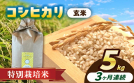 【3回定期便】特別栽培米　コシヒカリ　玄米　5kg　お米　ご飯　愛西市／株式会社戸倉トラクター [AECS031]