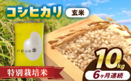 【6回定期便】特別栽培米　コシヒカリ　玄米　10kg　お米　ご飯　愛西市／株式会社戸倉トラクター [AECS035]