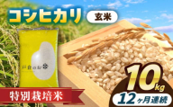 【12回定期便】特別栽培米　コシヒカリ　玄米　10kg　お米　ご飯　愛西市／株式会社戸倉トラクター [AECS036]