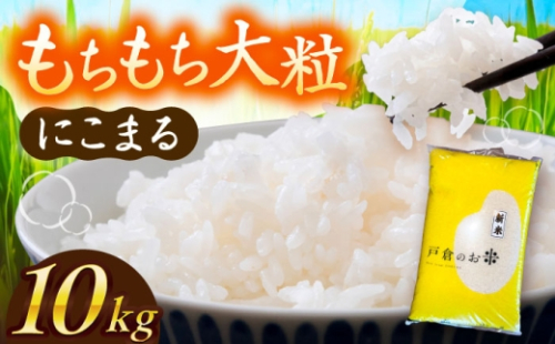 米 ＼10月より順発送／【令和7年度産 新米 】 にこまる 白米 10kg お米 精米 白米 米 お米 10kg 10キロ 白米 精米 新米 コメ ご飯 ごはん 愛知県産 国産 県産米 国産米 産地直送 令和7年 特別栽培米 愛西市 / 戸倉トラクター [AECS056] 1456575 - 愛知県愛西市