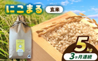 【3回定期便】にこまる　玄米　5kg　お米　ご飯　愛西市／株式会社戸倉トラクター [AECS067]