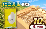 【6回定期便】にこまる　玄米　10kg　お米　ご飯　愛西市／株式会社戸倉トラクター [AECS071]