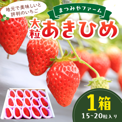 【先行予約／数量限定200】【特選】京都・まつみやファームの大粒いちご（あきひめイチゴ）15～20粒（2026年2月上旬～発送） 1456866 - 京都府京丹後市