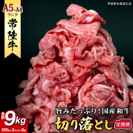 【定期便】 全6回 【 常陸牛 】 切り落とし 1.5kg (茨城県共通返礼品) 国産 焼き肉 牛肉 やきにく ブランド牛肉 ブランド牛 国産牛 黒毛和牛 和牛 国産黒毛和牛 お肉 A4ランク A5ランク すき焼き 牛丼 小分け