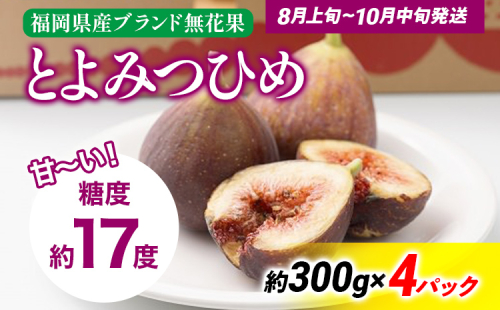 期間限定 いちじく 「とよみつひめ」 1.2kg 福岡県産ブランド フルーツ 無花果 (約300g×4パック) 1200g 南国フルーツ CO013 1456946 - 福岡県大木町