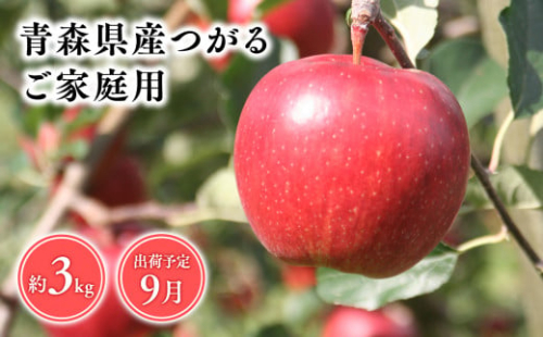 9月発送　【訳あり】家庭用つがる3ｋｇ　【そと川りんご園・9月・青森県産・平川市・りんご・つがる・3ｋｇ・訳あり・家庭用】 1456949 - 青森県平川市