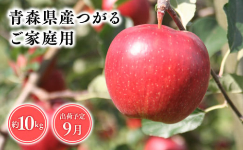 9月発送　【訳あり】家庭用つがる10ｋｇ　【そと川りんご園・9月・青森県産・平川市・りんご・つがる・10ｋｇ・訳あり・家庭用】 1456951 - 青森県平川市