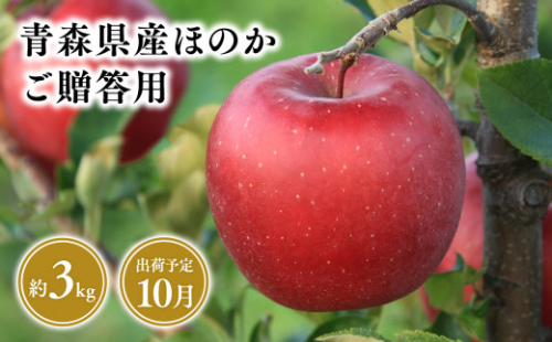 １０月発送　贈答用ほのか3ｋｇ　【そと川りんご園・9月・青森県産・平川市・りんご・ほのか・3ｋｇ・贈答用】 1456952 - 青森県平川市