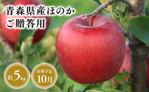 １０月発送　贈答用ほのか5ｋｇ　【そと川りんご園・１０月・青森県産・平川市・りんご・ほのか・5ｋｇ・贈答用】 1457022 - 青森県平川市