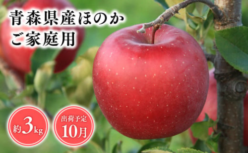 １０月発送　【訳あり】家庭用ほのか3ｋｇ　【そと川りんご園・１０月・青森県産・平川市・りんご・ほのか・3ｋｇ・訳あり・家庭用】 1457024 - 青森県平川市