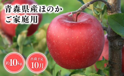 １０月発送　【訳あり】家庭用ほのか10ｋｇ　【そと川りんご園・１０月・青森県産・平川市・りんご・ほのか・10ｋｇ・訳あり・家庭用】 1457026 - 青森県平川市