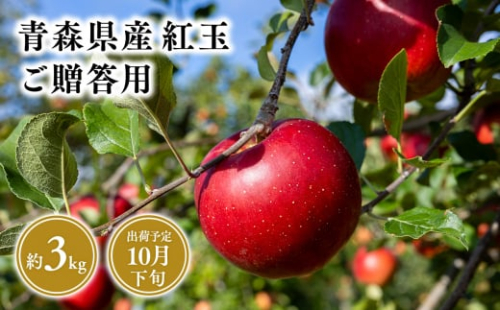 １０月発送　贈答用紅玉3ｋｇ　【そと川りんご園・１０月・青森県産・平川市・りんご・紅玉・3ｋｇ・贈答用】 1457039 - 青森県平川市